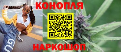 ешки Кингисепп