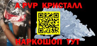 ешки Кингисепп